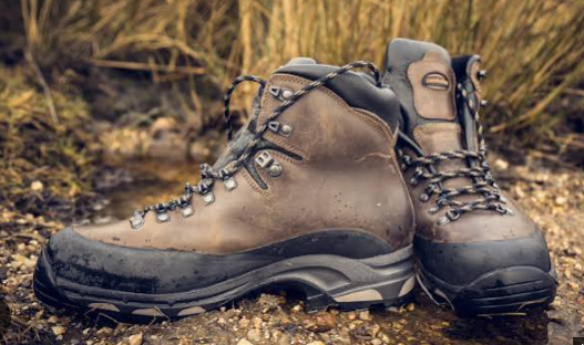 Skechers Men Hiking Shoes - Black / Navy